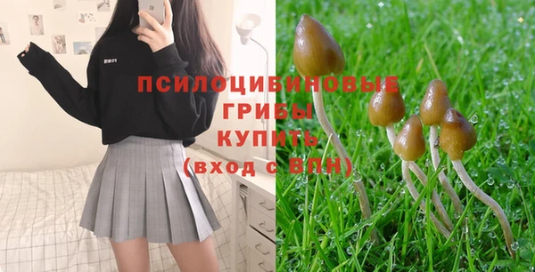 стаф Заволжье