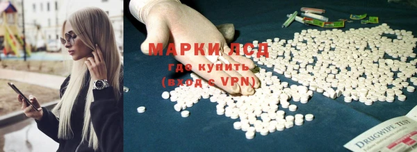 стаф Заволжье